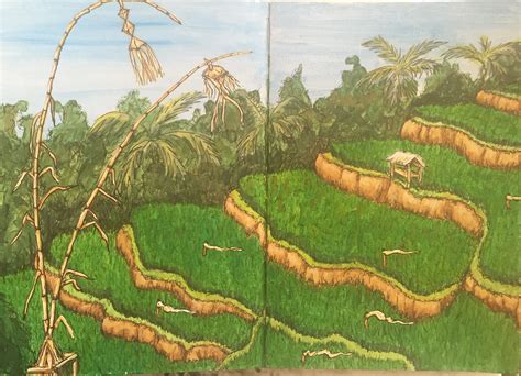 sketch banaue rice terraces drawing|Banaue Rice Terraces Drawing .